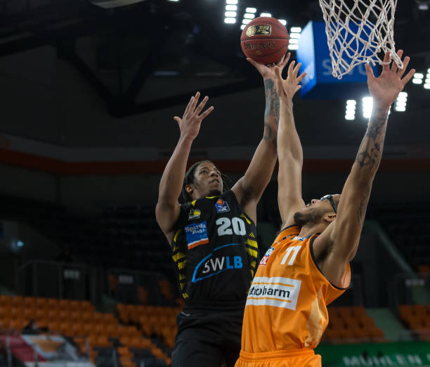 目的新闻引 目的新闻引